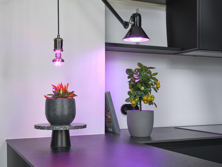 LED žárovka pro rostliny 7,5W E27 140lm Osram Growth Aid