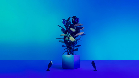 LED zahradní venkovní reflektor 4W RGB SMART WiFi WiZ