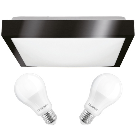 Plafond LED stropní svítidlo 30cm 2xE27 černý čtverec + 2x LED žárovka 10W 6000K