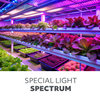 LED žárovka pro rostliny 40W E27 1200K White KOBI PLANTS