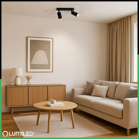 LED bodové reflektorové stropní svítidlo 2x GU10 IP44 ADERO Black Lumiled