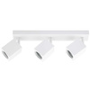 Stropní reflektorové nástěnné svítidlo 3xGU10 QUANTUS White