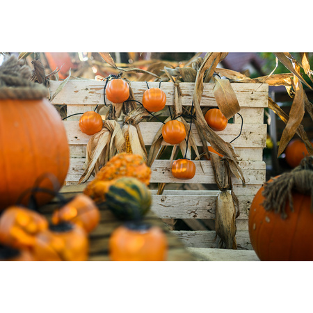 Baterie Garland 8xLED Dekorativní dýně 4.45m Halloweenská světla + USB C