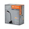 LED stolní lampa Clip nastavitelná 4,8 W 221lm CCT stmívatelná černá kancelářská linka Ledvance
