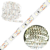 LED pásek 12V, 48W 600LED 2835 Studená bílá 8mm 5m LUMILED