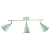FIONA NÁSTĚNNÉ SVÍTIDLO. nástěnné svítidlo 3xE14 na strop MINT GOLDLUX (Polux)