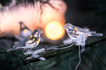 Solární zahradní řetěz Girland Light Birds On Clip 3,2 m IP44 Warm
