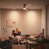 Stropní ventilátor 32W LED stropní svítidlo 24W 2650lm 3000/4300/6500K CCT Black Brown + Pilot Olas Philips