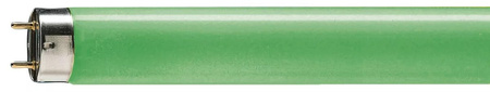 G13 T8 zářivka 18W 1800lm Zelená 600mm TL-D Barevná PHILIPS