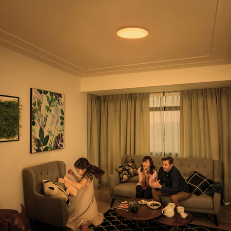 Stropní svítidlo LED Plafond 24W 2700-6500K stmívatelné CCT 38cm IZSO + PHILIPS PILOT