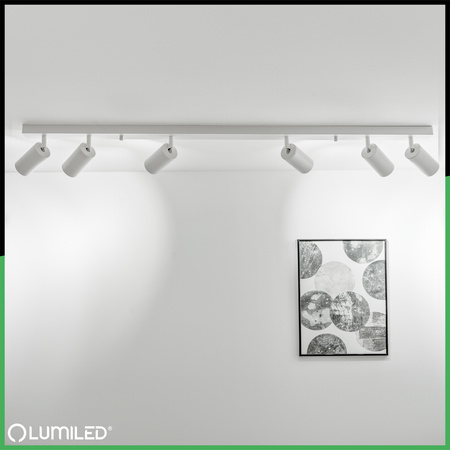 Stropní svítidlo SPOT TUBA Reflektor Halogenové svítidlo 6x GU10 TABULA LUMILED