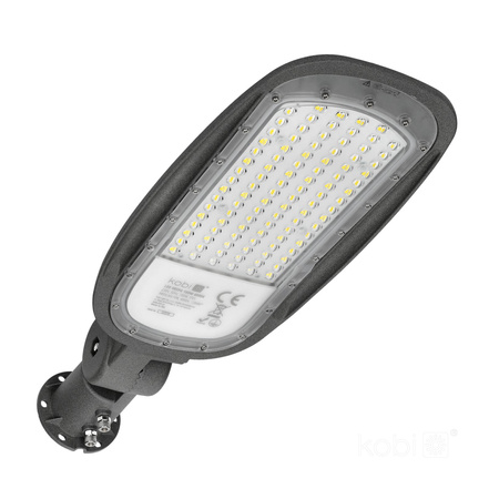 Pouliční svítidlo LED Industrial Road Luminaire 100W 9800lm 4000K neutrální bílá IP65 IK08 šedé Vespa Kobi