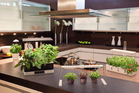 Lampa UMBRELLA. vnitřní osvětlení LED USB 5W 3400K podporující růst rostlin LEDVANCE