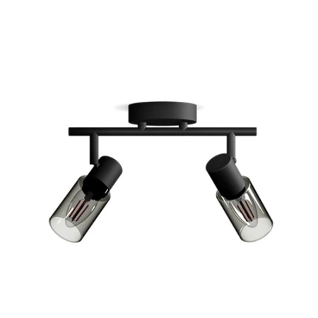 Reflektorové stropní svítidlo 2x E14 Black Palms Philips