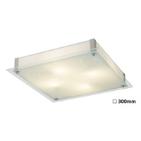 Plafond LED stropní svítidlo Povrchové nástěnné svítidlo 12W bílé moderní Dena Rabalux