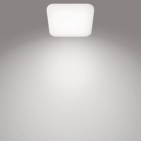 Plafond LED stropní svítidlo MAUVE 12W 4000K 26cm Square PHILIPS s povrchovou montáží
