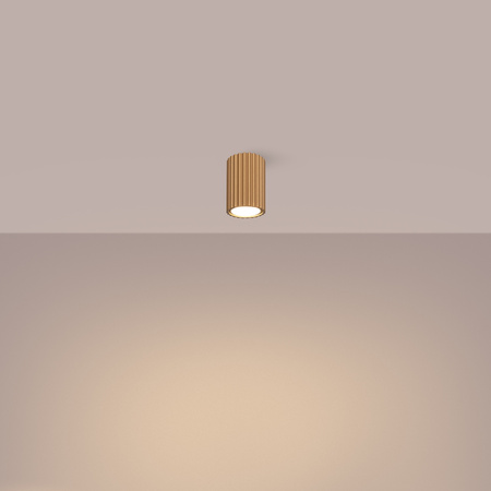 Stropní svítidlo Tuba Spot GU10 Gold Carbon Deep Space SL.1549 Sollux