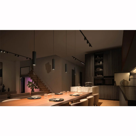 Perifo Lighting Rail Kit 1,5 m + 3x LED závěsné světlo 15,6 W CCT RGB Philips HUE Bluetooth Black