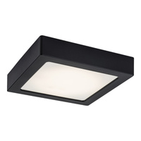 Plafond LED stropní svítidlo Povrchová montáž 15W 4000K Black Minimalist Shaun2 Rabalux