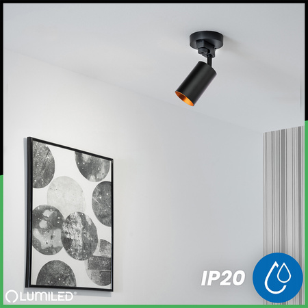 LUMILED HUMA RAIL KIT BLACK + SAGI RAIL SPOTLIGHT BLACK AND GOLD