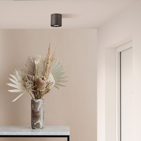 Spot GU10 Black Gold XENO Sanico Goldlux Svítidlo pro povrchovou montáž