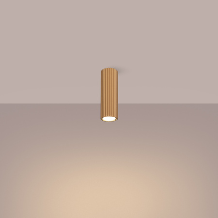 Stropní svítidlo Tuba Spot GU10 Gold Carbon Deep Space SL.1550 Sollux