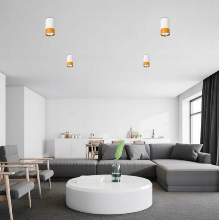 Halogenový reflektorový bodový reflektor GU10 s povrchovou montáží, kulatý, bílý, zlatý, Clement Masterled