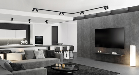 MONO I Stropní svítidlo 7838 Nowodvorski Černá GU10 Přisazený bodový reflektor Moderní