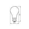 LED žárovka B22 Edison A60 12W = 100W 1521lm 6500K Cold Clear XLEDIM Filament Kanlux