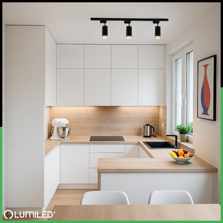 BUSINESS SURFACE 1m + 3x GU10 reflektorové stropní svítidlo LUMILED Rail Lighting