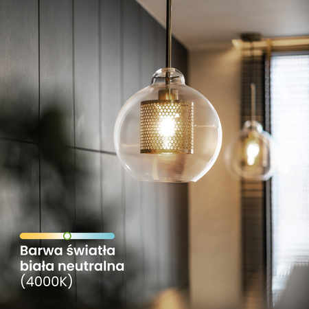 6x LED žárovka E27 A60 4W = 60W 840lm 4000K Neutrální 360° FILAMENTNÍ SVĚTLO