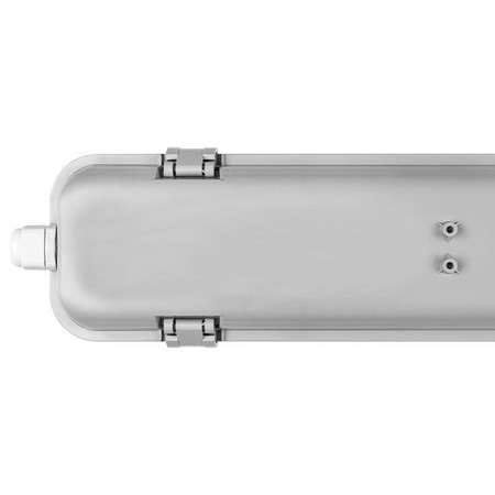 Odolné proti plameni 120cm 2xT8 G13 IP65 Transparentní svítidlo Masterled