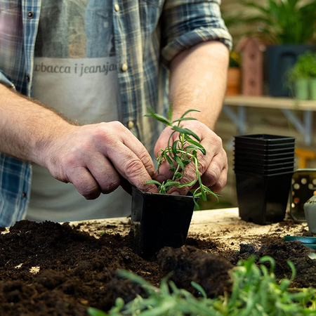 Sada 24x rašelinových květináčů 8x8 cm pro výsev sazenic Biologicky odbouratelné kulaté květináče