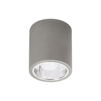Stropní svítidlo pro povrchovou montáž 60W E27 Grey Minimalist Donald 2485 Rabalux