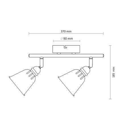 FIONA NÁSTĚNNÉ SVÍTIDLO. nástěnné svítidlo 2xE14 na strop MINT GOLDLUX (Polux)