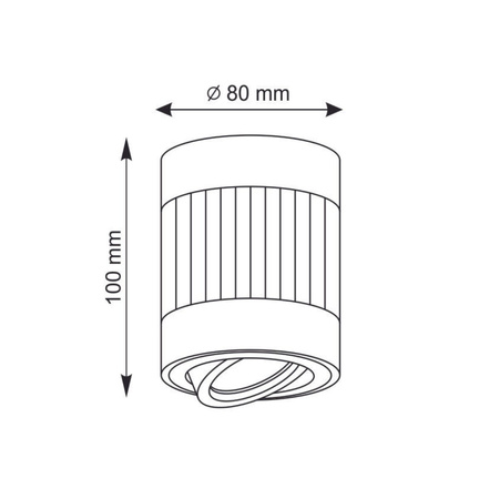 Svítidlo pro povrchovou montáž RUBIN PASKI GU10 Tuba Spot Round Moving White GOLDLUX