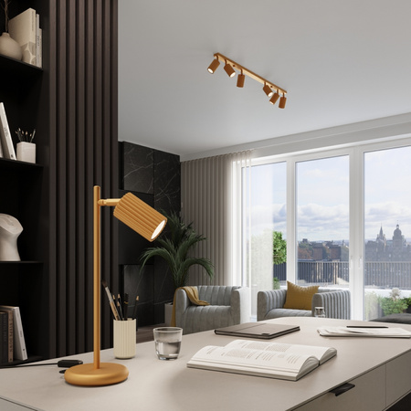 Bodové reflektorové stropní svítidlo Tuba 4x GU10 Gold Carbon Deep Space SL.1565 Sollux