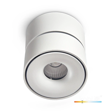 Stropní svítidlo Reflektor nastavitelný LED 9W 550lm 3000K Teplá stmívatelná CRI90 Bílá Lahti Kobi