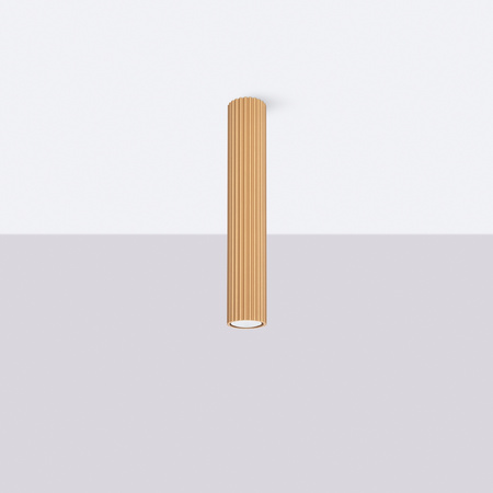 Stropní svítidlo Tuba Spot GU10 Gold Carbon Deep Space SL.1552 Sollux