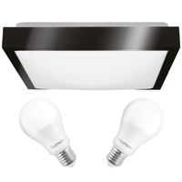Plafond LED stropní svítidlo 30cm 2x E27 černý čtverec + 2x LED žárovka 10W 3000K Lumiled